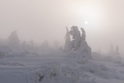 mlha na Červené hoře